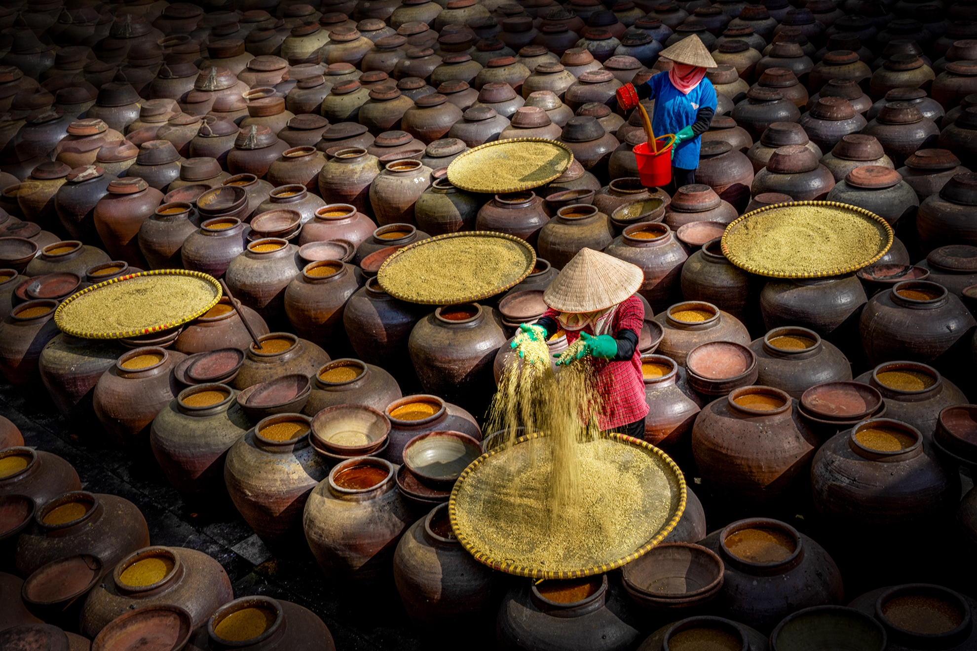 2月-入選-戴志英-製油
